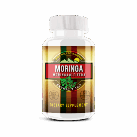 Moringa Nine Mile